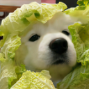 蓝染